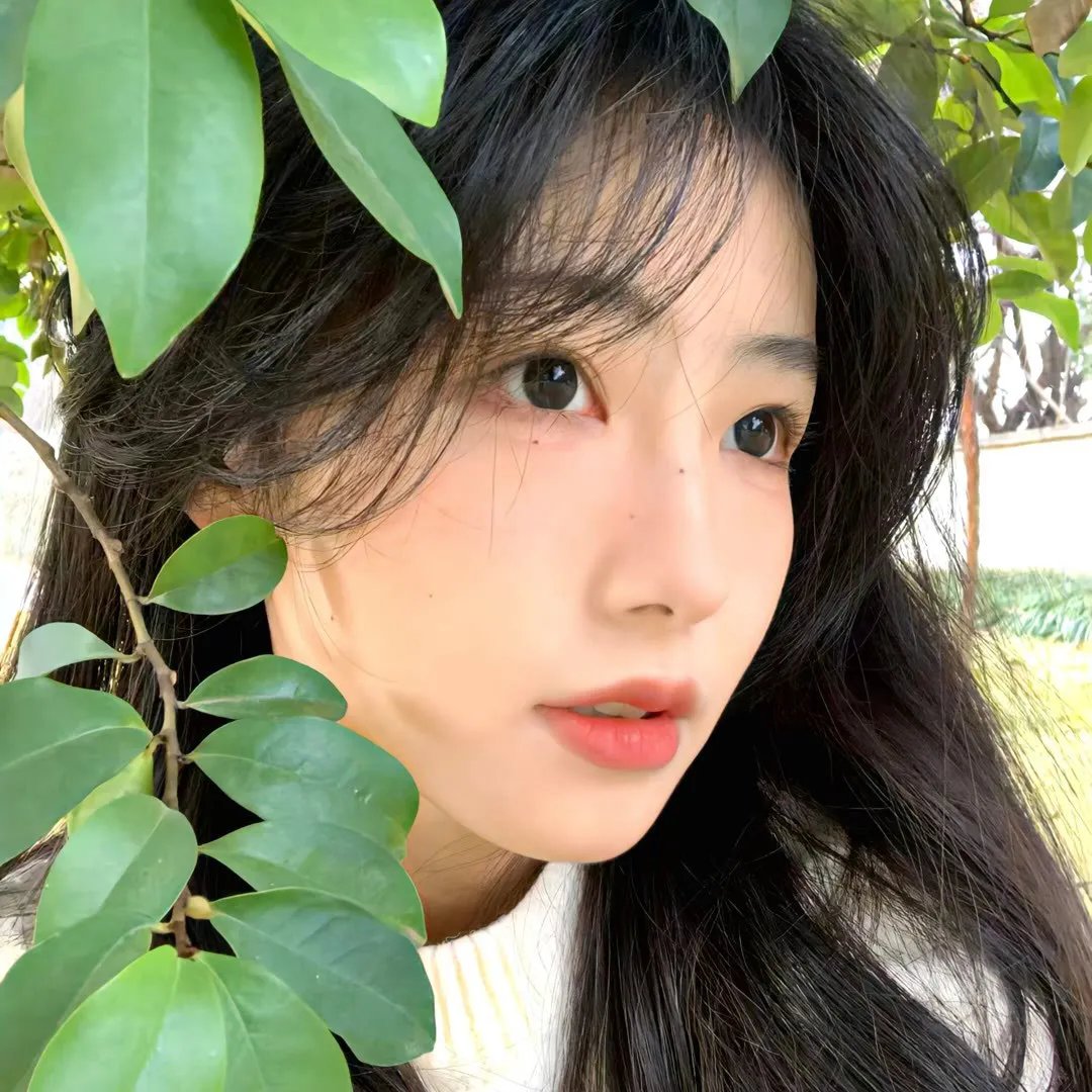 喧闹一家亲第四季